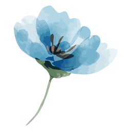 Aquarela de flor de linho perene Transparent PNG