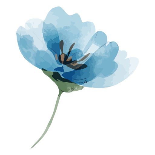 Acuarela de flor de lino perenne - Descargar PNG/SVG transparente