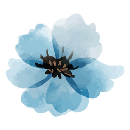 Blumen Staude Flachs Aquarell PNG-Design