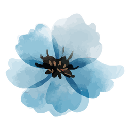 Flower perennial flax watercolor Transparent PNG