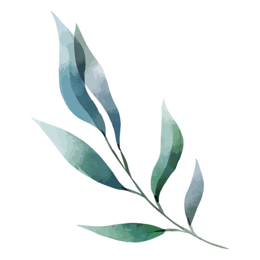 Aquarell lange Blätter PNG-Design