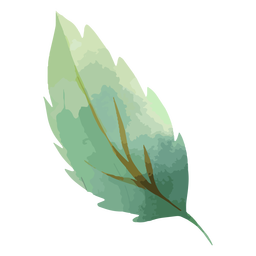 Aquarela de folha de árvore Transparent PNG