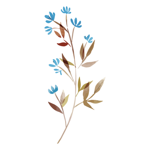 Aquarellblaue Blumen PNG-Design