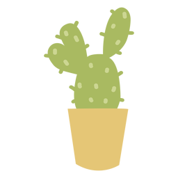 Desert plant cactus flat