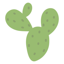 Planta de cactus plana