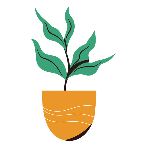 Plant in pot flat