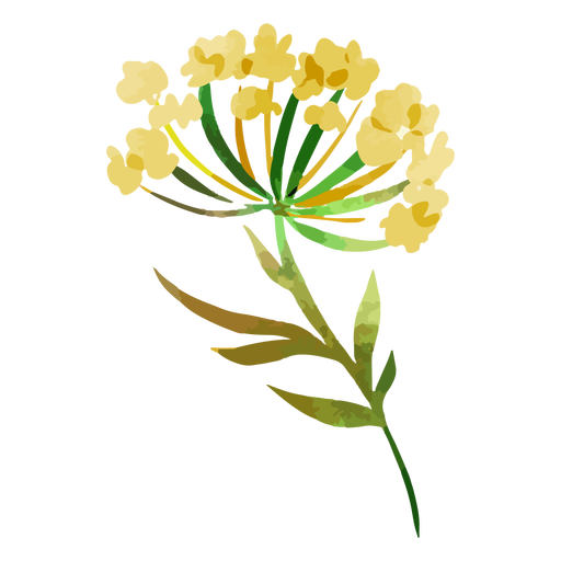 Lindas flores amarelas em aquarela Desenho PNG