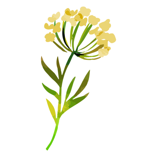 diseño png y svg de acuarela de flores amarillas para camisetas