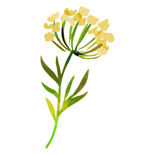 Yellow flowers watercolor PNG Design