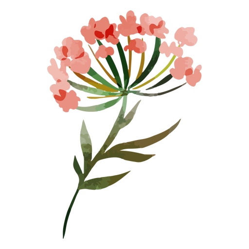 Acuarela de flores rojas - Descargar PNG/SVG transparente