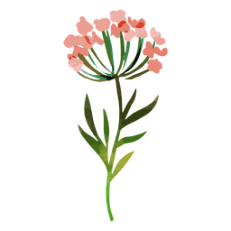 Download Watercolor Red Flowers Transparent Png Svg Vector