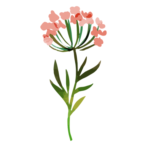 Aquarell rote Blumen PNG-Design