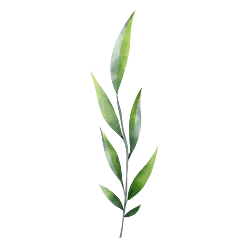 Green leaf, Green leaves 8880441 PNG