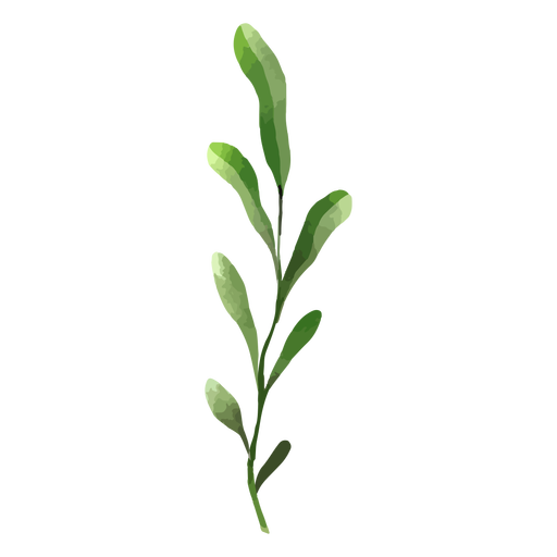 Aquarellgrüne Blätter PNG-Design