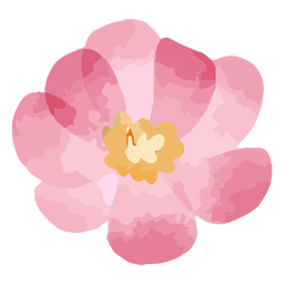 Pink bloom watercolor PNG Design