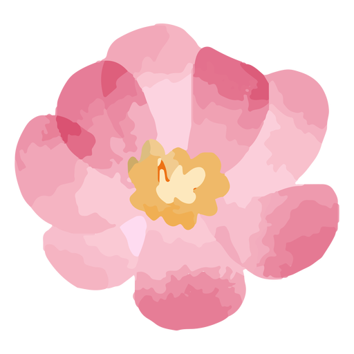 Acuarela de flor rosa Diseño PNG