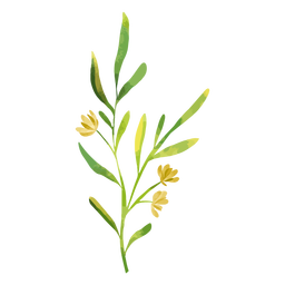 Watercolor branch and yellow flowers PNG Design