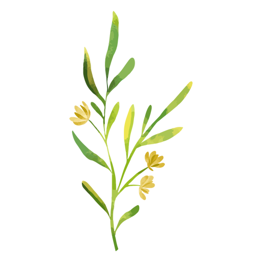 Aquarellzweig und gelbe Blumen PNG-Design