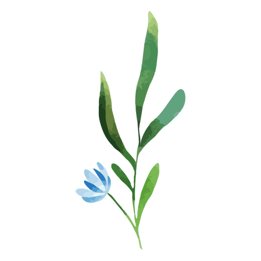Acuarela rama flor azul