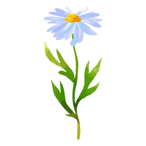 Long stem daisy watercolor PNG Design