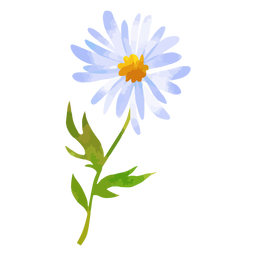 Aquarela de margarida de caule curto Desenho PNG