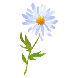 Short stem daisy watercolor Transparent PNG