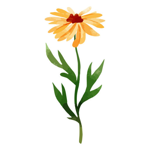 Download Long Stem Sunflower Watercolor Transparent Png Svg Vector File