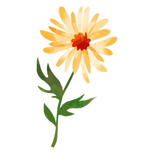 Short stem sunflower watercolor