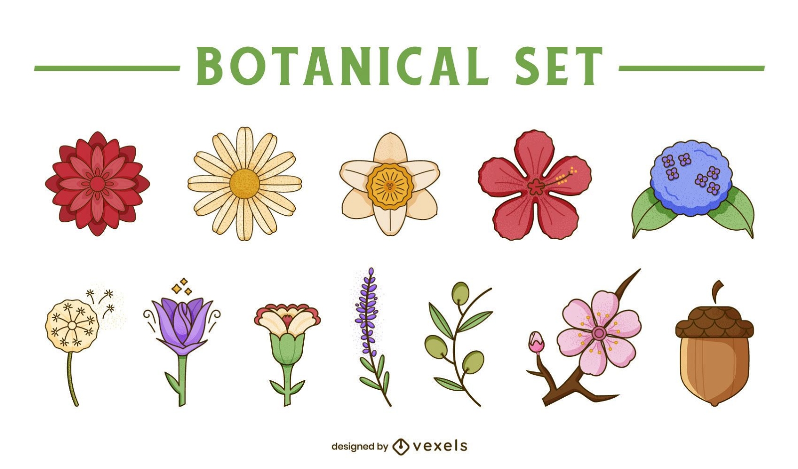 Botanisches Set