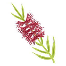 Flor pontiaguda semi-plana Desenho PNG