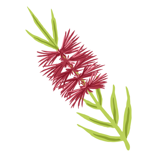 Flor pontiaguda semi-plana Desenho PNG