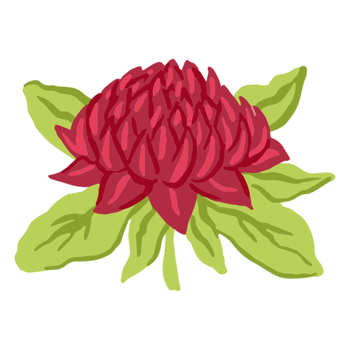 Grande flor vermelha semi-plana Desenho PNG