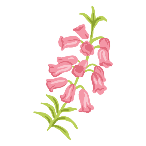 Rosa Blüten halb flach PNG-Design