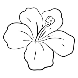 Traço de flor tropical Desenho PNG