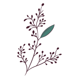 Branch with leaf color-stroke Transparent PNG