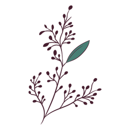 Rama con trazo de color de hoja Diseño PNG