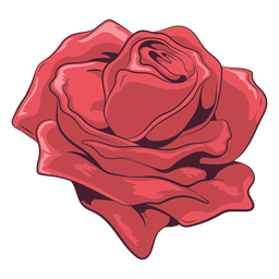 Schöne Rosenillustration PNG-Design