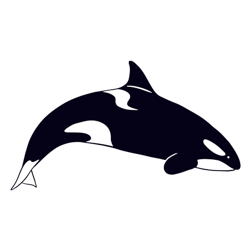 Filled-stroke killer whale PNG Design