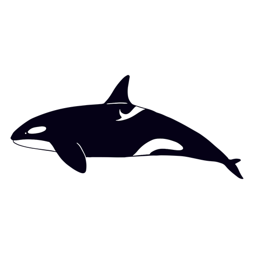 Swimming killer whale filled-stroke PNG Design