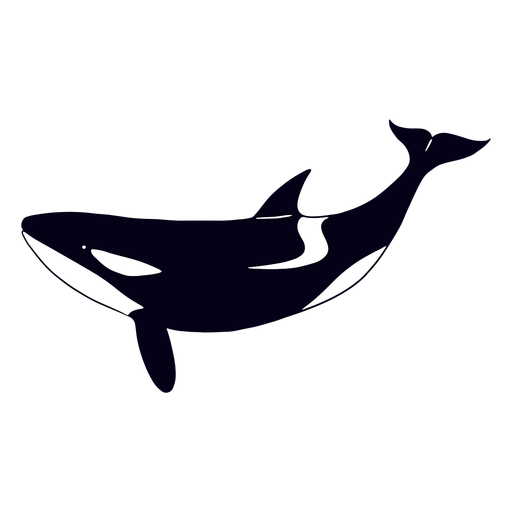 Killer whale swimming filled-stroke PNG Design