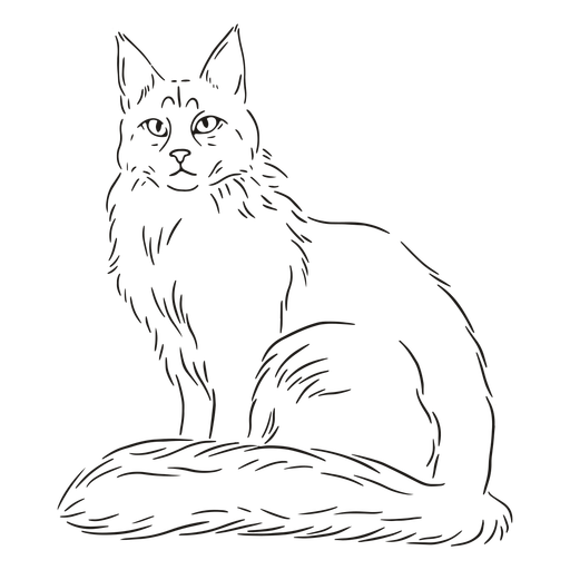 Elegant cat stroke PNG Design