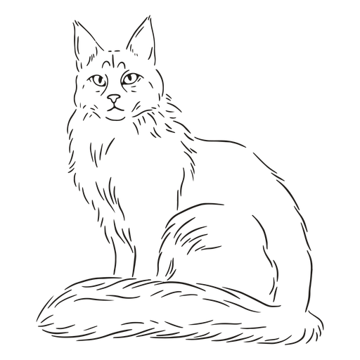 Traço de gato elegante Desenho PNG