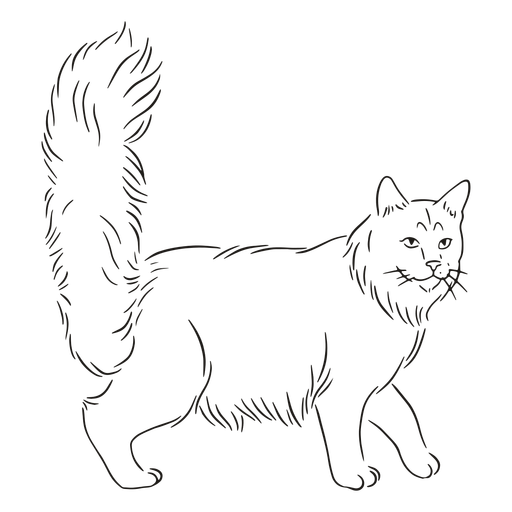 Katzenlaufhub PNG-Design