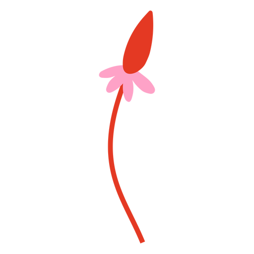 Rote und rosa Blume flach PNG-Design
