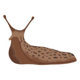 Slug sliding illustration Slug sliding illustration