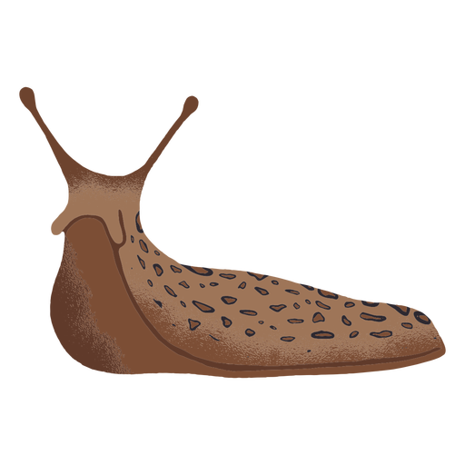 Slug sliding illustration
