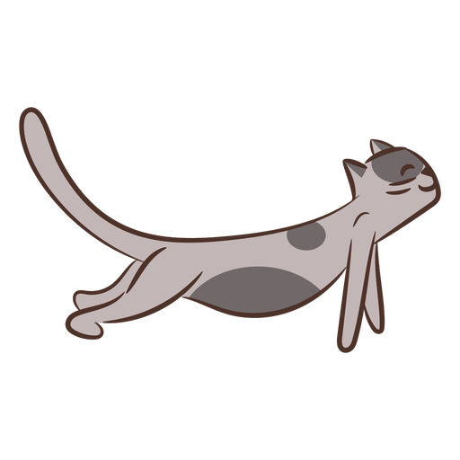 Gato yoga pose carácter color trazo Diseño PNG