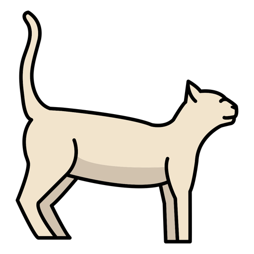 Traço de cor de gato branco Desenho PNG