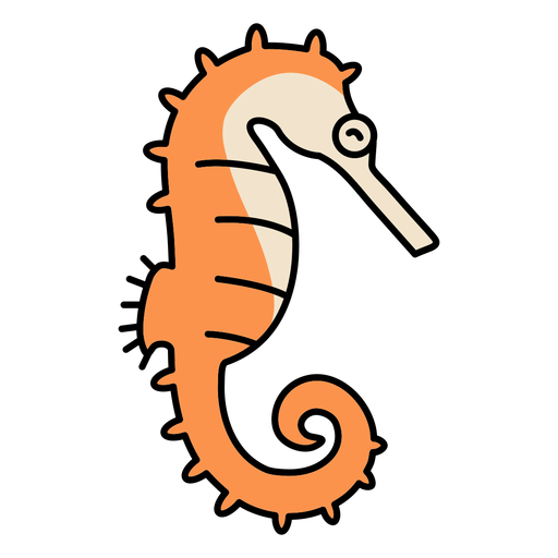 Seahorse sea animal color stroke PNG Design