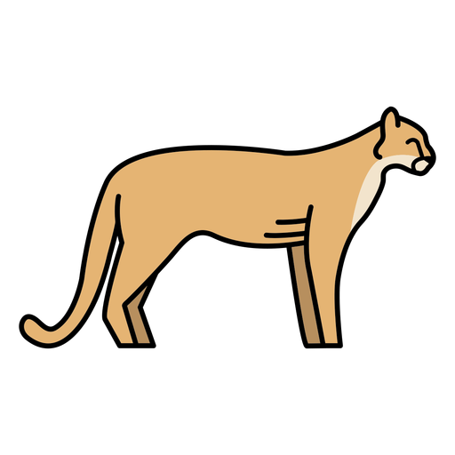 Wild cat feline animal color stroke PNG Design